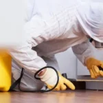 Expert Pest Control Services in Sydney and Gold Coast