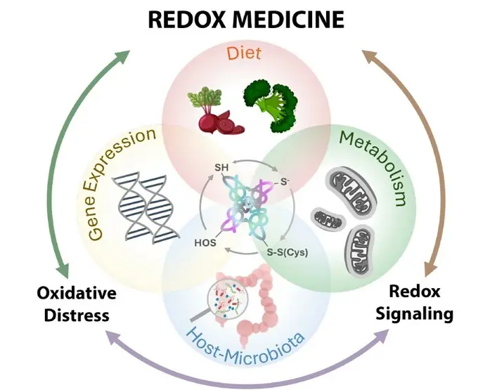 Unlock Cellular Potential The Science of Redox Signaling